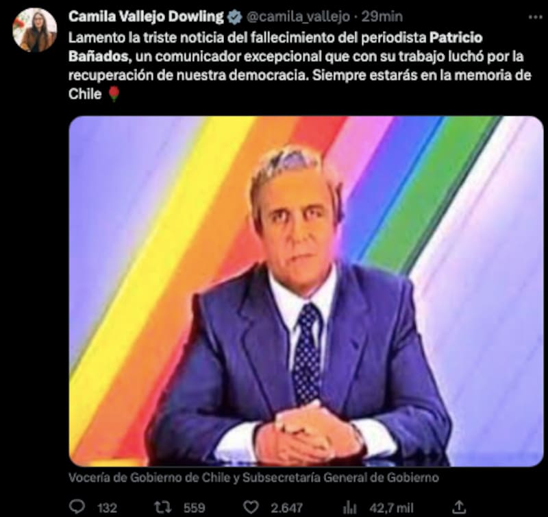 La ministra Camila Vallejo se despide del comunicador / Twitter