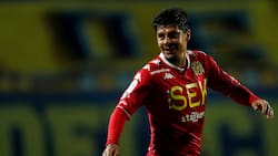 “Para dar una mano”: Patricio Rubio ilusiona a los hinchas de Unión Española para la Primera B 2026