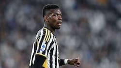 Paul Pogba cumple su sanción y puede volver al fútbol: ahora busca club