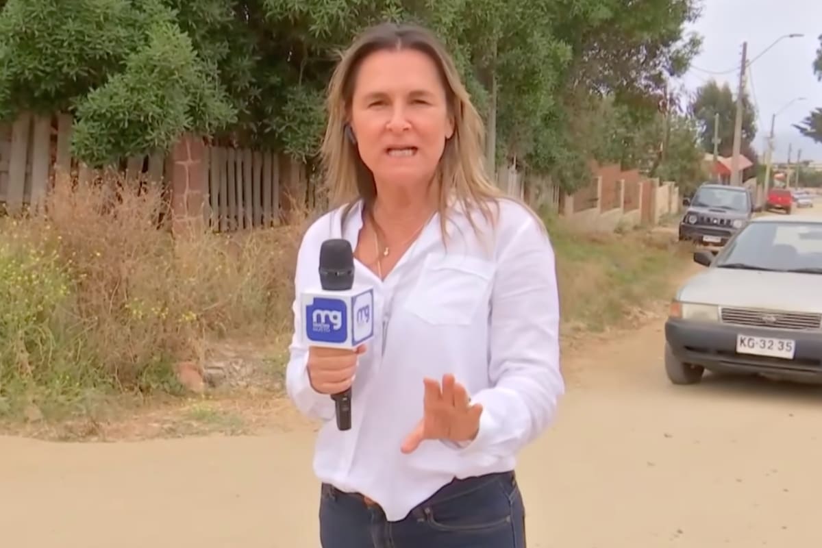 Paulina de Allende Salazar fue despedida de Mega. Créditos: Mega.