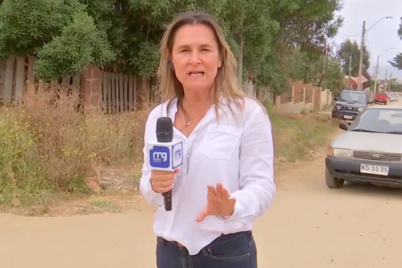 Paulina de Allende Salazar fue despedida de Mega. Créditos: Mega.