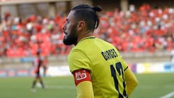 Paulo Garcés fue liberado y su compañero pasó a control de detención por agresión a guardia de seguridad