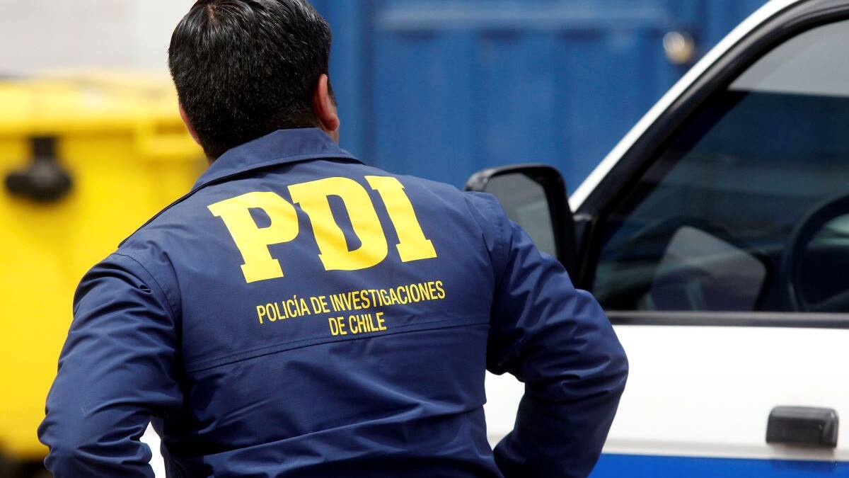Maltrato animal: Sujeto que pateó y golpeó a combos a su perro fue detenido en Viña del Mar