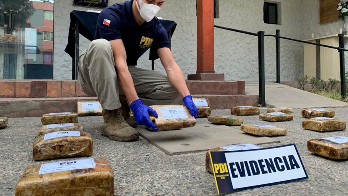 PDI desbarató banda de narcos e incauto más de 205 millones de pesos en drogas