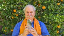 Horóscopo de Pedro Engel: Así le irá a tu signo este fin de semana