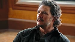 ¿Ganará Pedro Pascal?: Revisa la lista de series, actores y actrices nominados a los Premios Emmy 2025