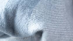 Tres formas de sacar pelusas y pelos de mascota de la ropa de forma rápida y fácil