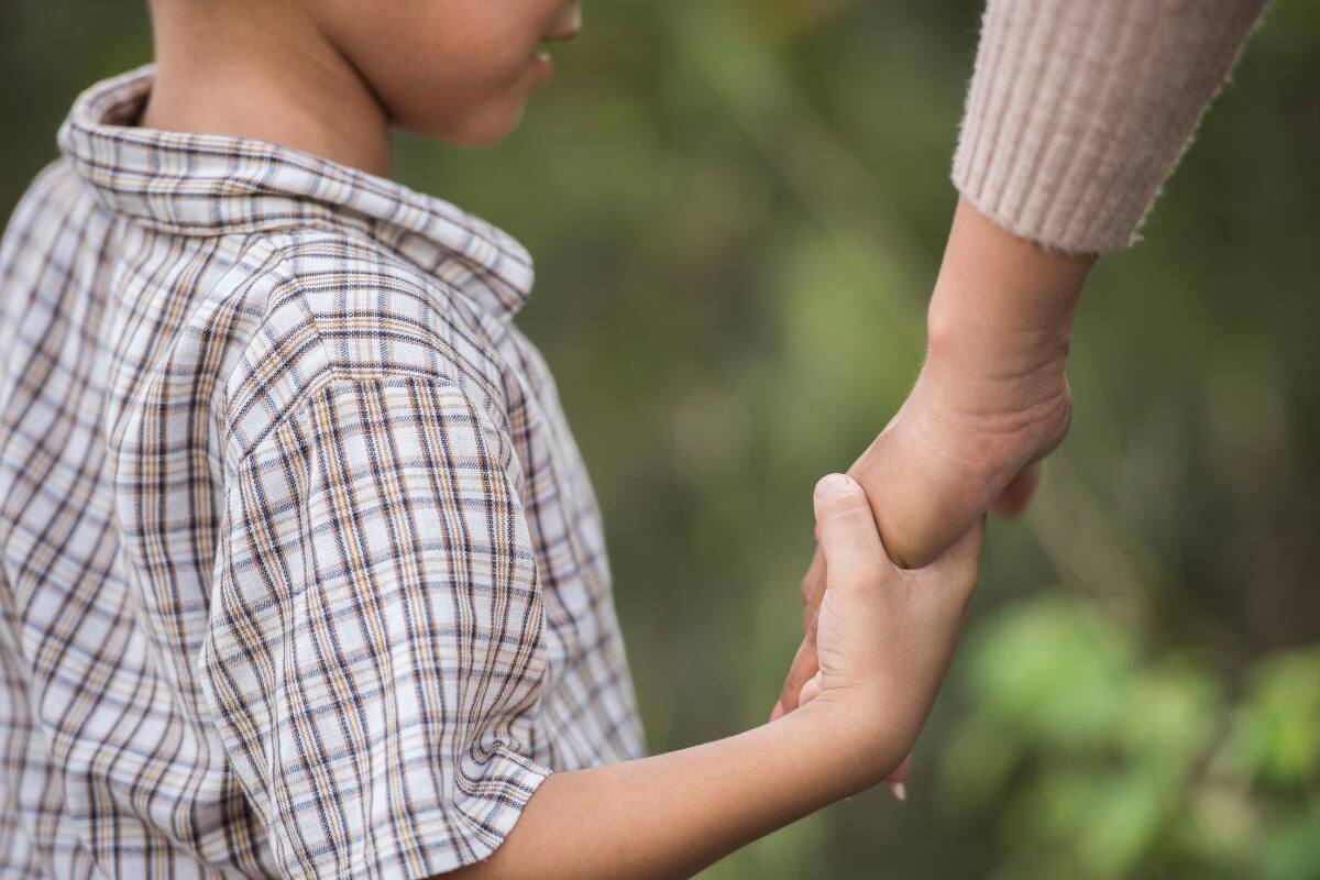 A partir de julio de 2024, madres o padres deberán pagar un mínimo de $150 mil por cada menor.