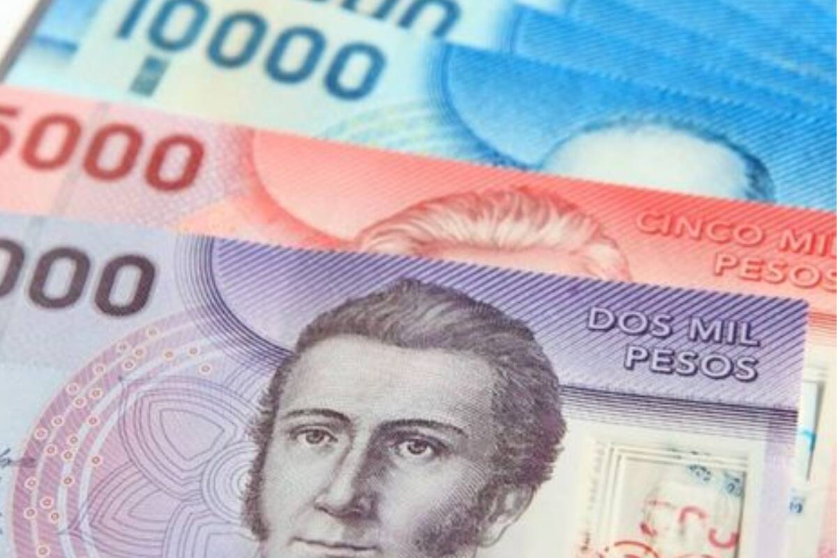 Conoce por qué podrías perder el beneficio.