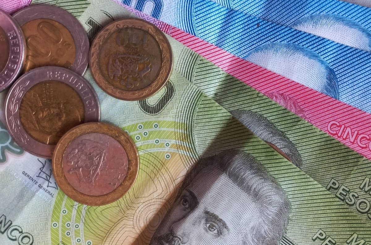 Revisa con tu RUT si tienes pagos pendientes de la Pensión Garantizada Universal