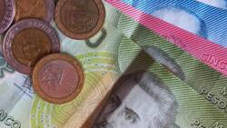 Revisa con tu RUT si tienes pagos pendientes de la Pensión Garantizada Universal