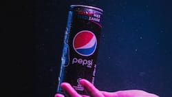 Con sueldos que alcanzan los $680.000: Estas son las ofertas de trabajo que tiene disponibles PepsiCo