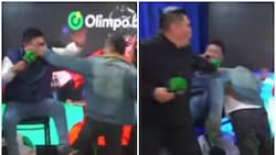 VIDEO | Insólito: periodistas peruanos se van a los golpes tras derrota de Alianza Lima ante la U