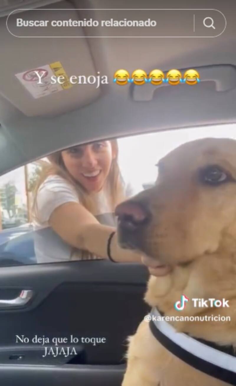 Este perrito no ocultó su molestia por ver a su dueña con otro can.