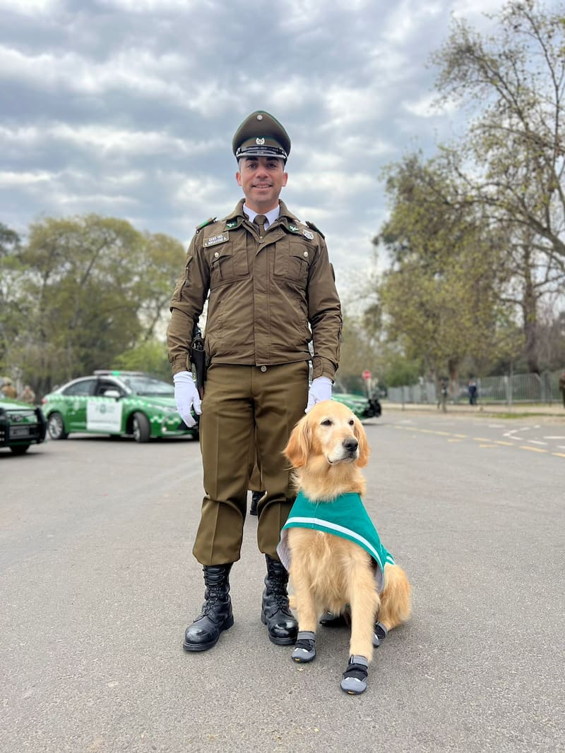Derby (9 años)