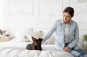 Un latino en el primer lugar: Estos son los países donde más conviven con perros en la casa, según ranking