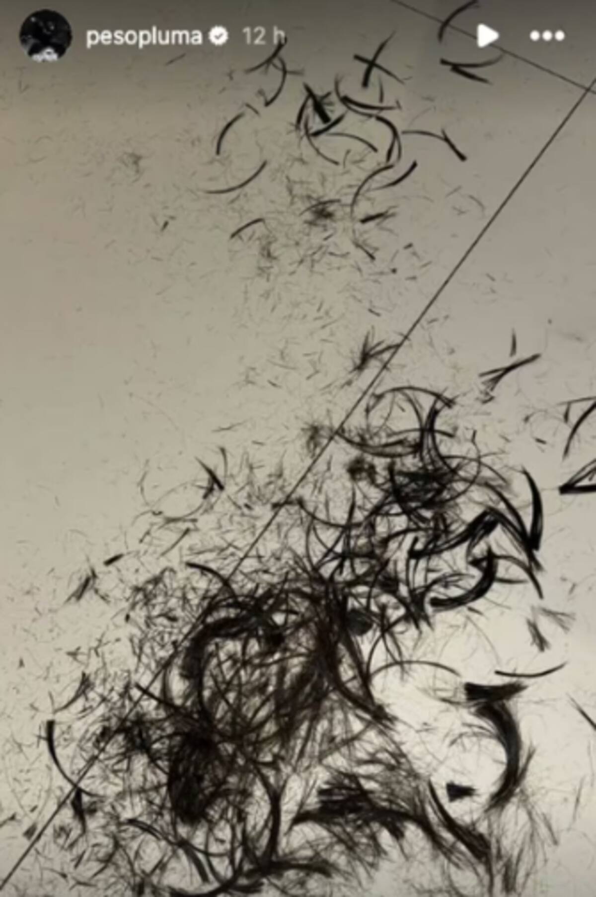 Los mechones de pelo que Peso Pluma capturó para su foto