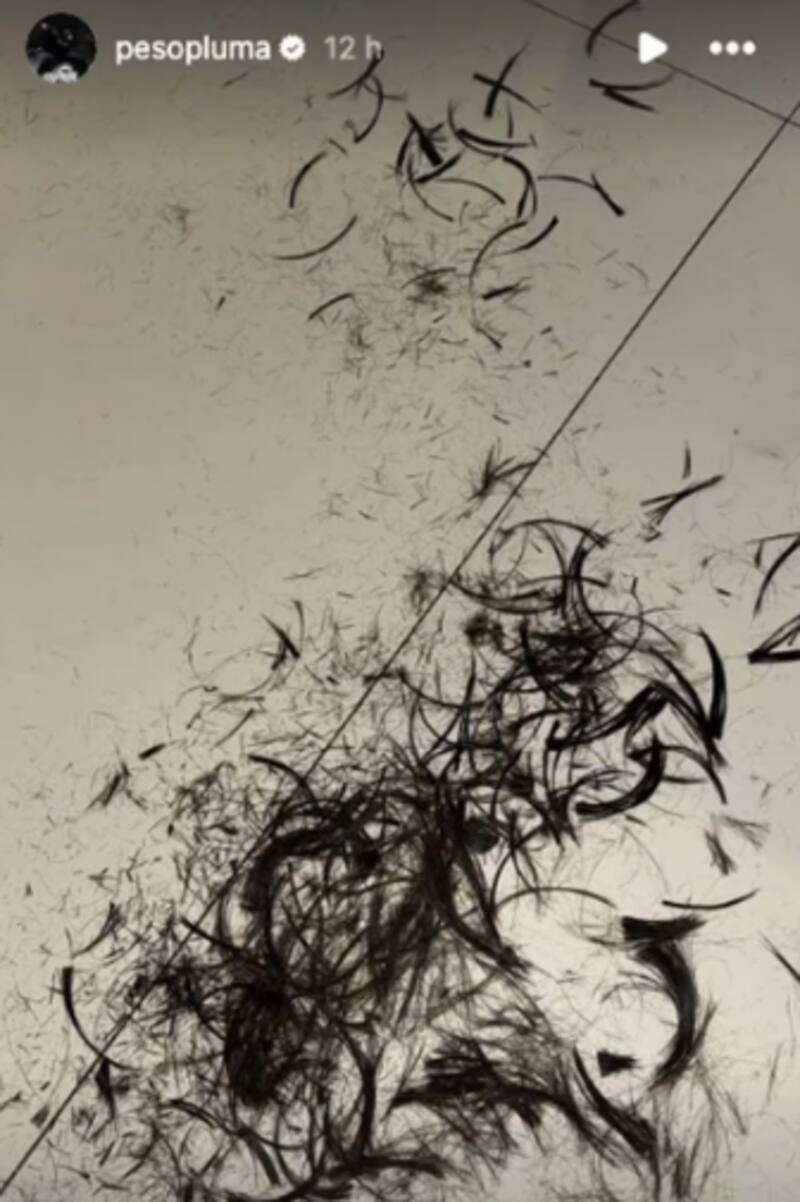 Los mechones de pelo que Peso Pluma capturó para su foto