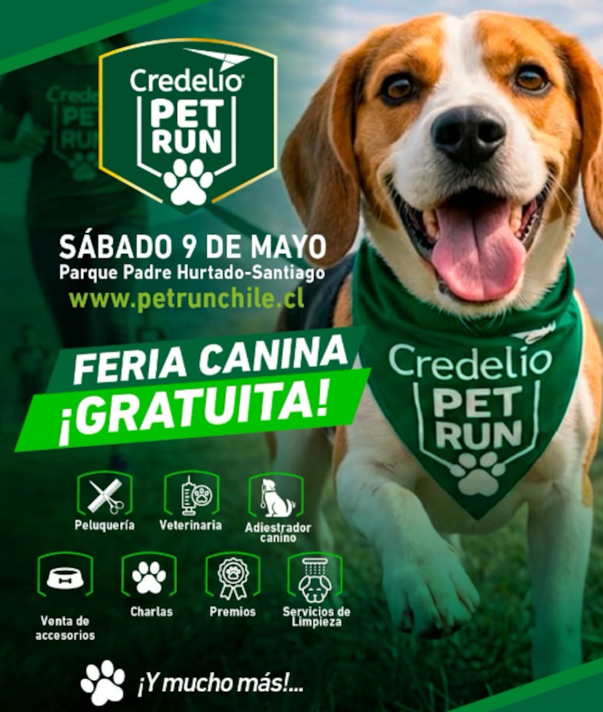El evento tendrá imperdibles sorpresas para las mascotas y sus tutores. Foto: Pet Run vía Instagram.