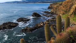 ¿Cuánto cuesta viajar a Pichilemu en auto? Precios de bencina, peajes, alojamiento y panoramas para realizar