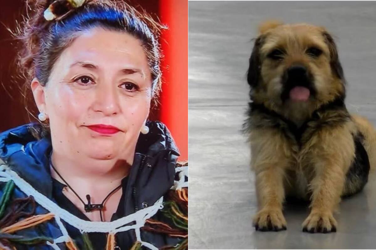 La oriunda de Chiloé confesó que en un momento también pensó en llevarse a Bigote a su casa.