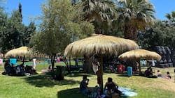 Esta piscina municipal que simula ser una playa con arena ya abrió sus puertas: Conoce el precio de las entradas y su horario