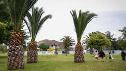 Piscina municipal de Maipú: Horarios, días de funcionamiento y cómo conseguir entradas gratis para este panorama en la RM