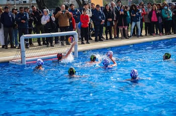 Piscina Olímpica Alberto Abarza de Maipú inicia su temporada de verano este viernes: Precios, horarios y ubicación