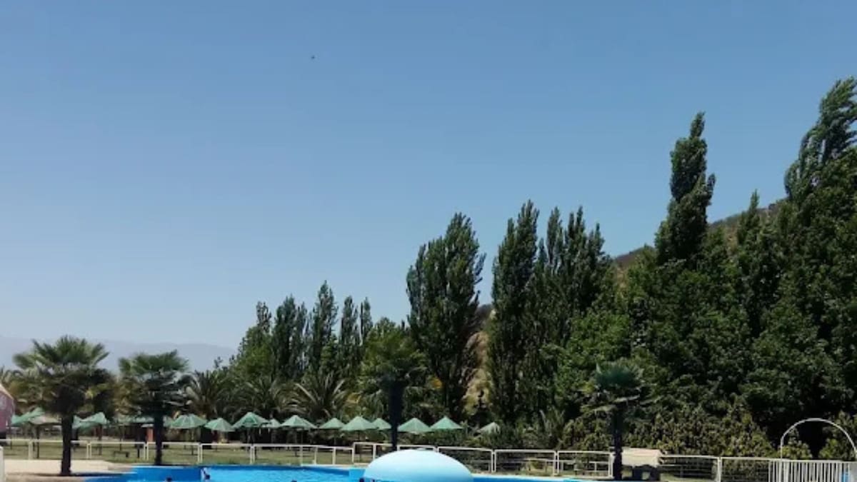 Este rincón verde con piscina es perfecto para capear el calor del verano 2026