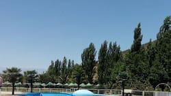 Este rincón verde con piscina es perfecto para capear el calor del verano 2026