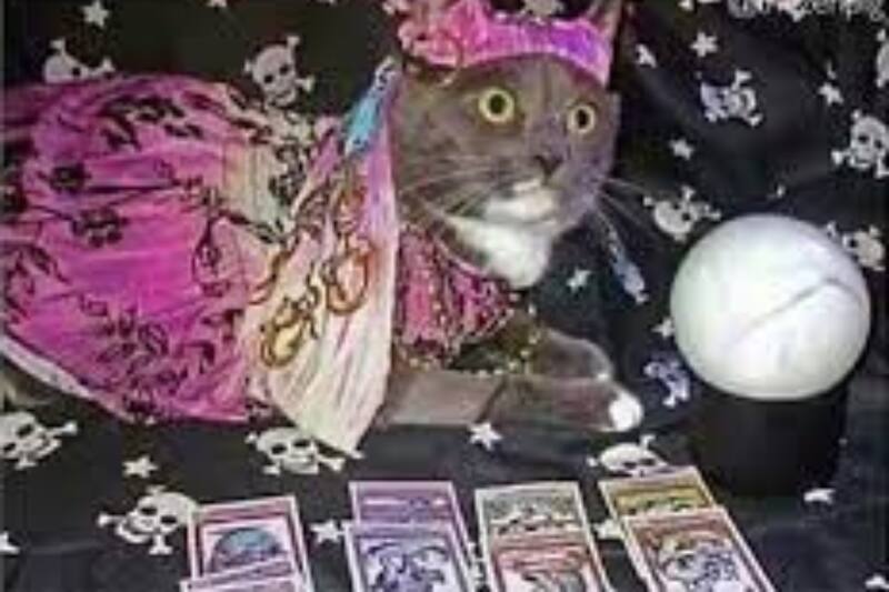 Piscis es un signo de agua que se caracteriza por su gran intuición y sensibilidad con su entorno.