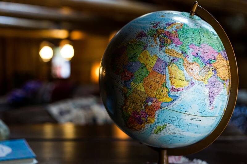 Después de los humanos, ¿qué especie dominaría la Tierra?