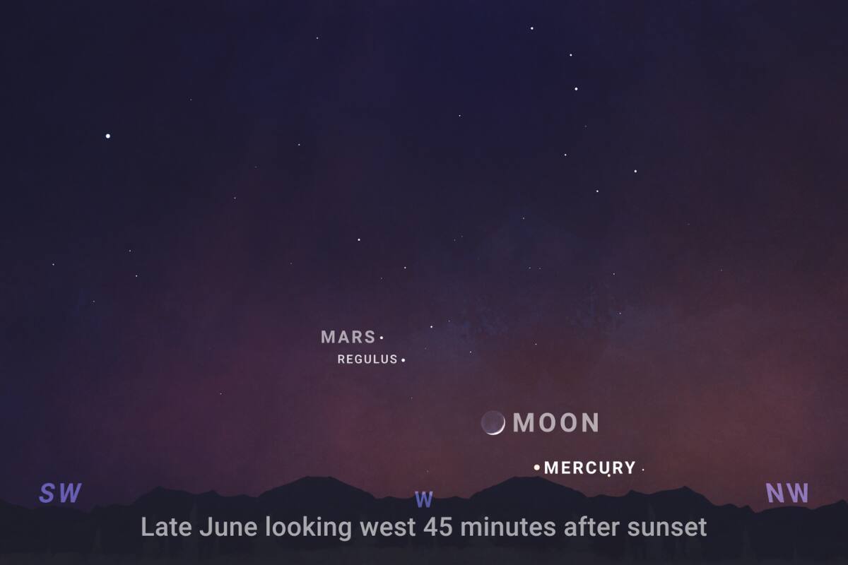 Este mes se distinguirán 4 planetas en el cielo nocturno.