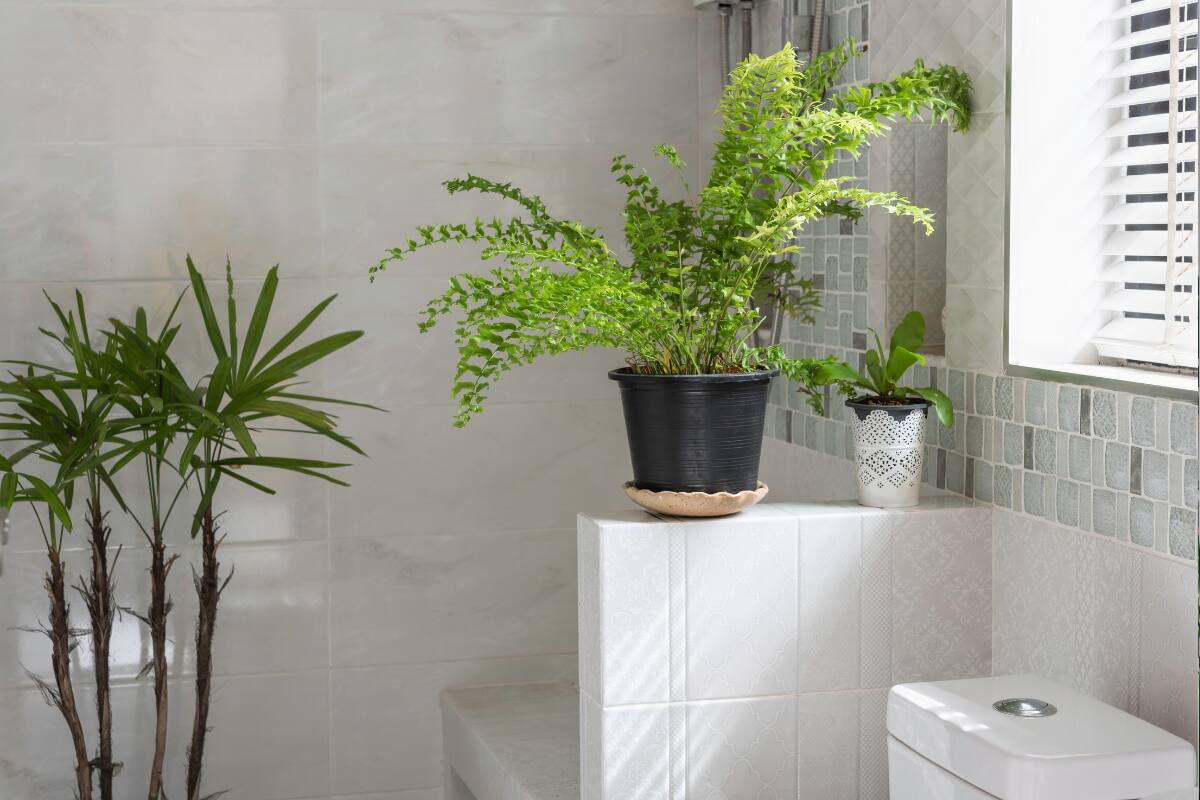 Estas son las mejores opciones para decorar tu baño.