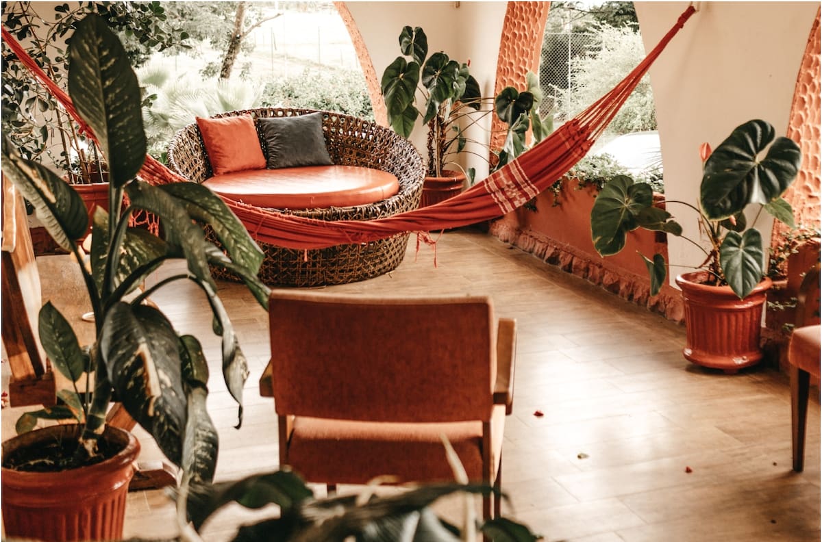 Tip: El secreto algodón para que tus plantas de interior no se marchiten si sales de vacaciones