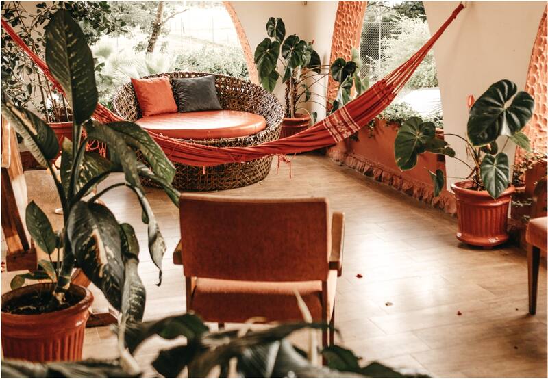 En temporada de fiestas, solemos aprovechar el tiempo para salir de casa por algunos días. Sin embargo, las que más sufren son las plantas | Foto: Befunky