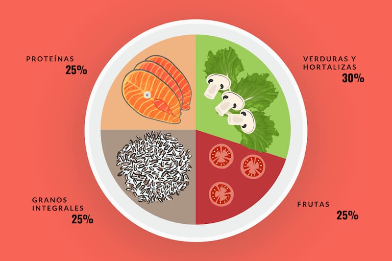 Según Harvard, estas son las proporciones que debe tener cada plato de comida para alimentarnos de forma balanceada.