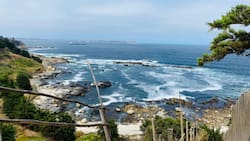 Un paraíso escondido a menos de 2 horas de Santiago: Esta playa de arena blanca y aguas cristalinas es ideal para ir en verano