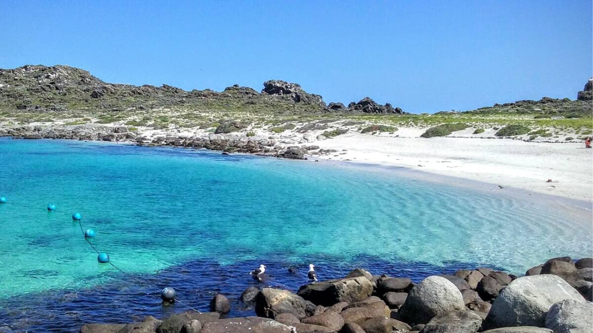 Playa Las Tijeras: Un paraíso tropical con arena blanca y aguas cristalinas en el norte de Chile