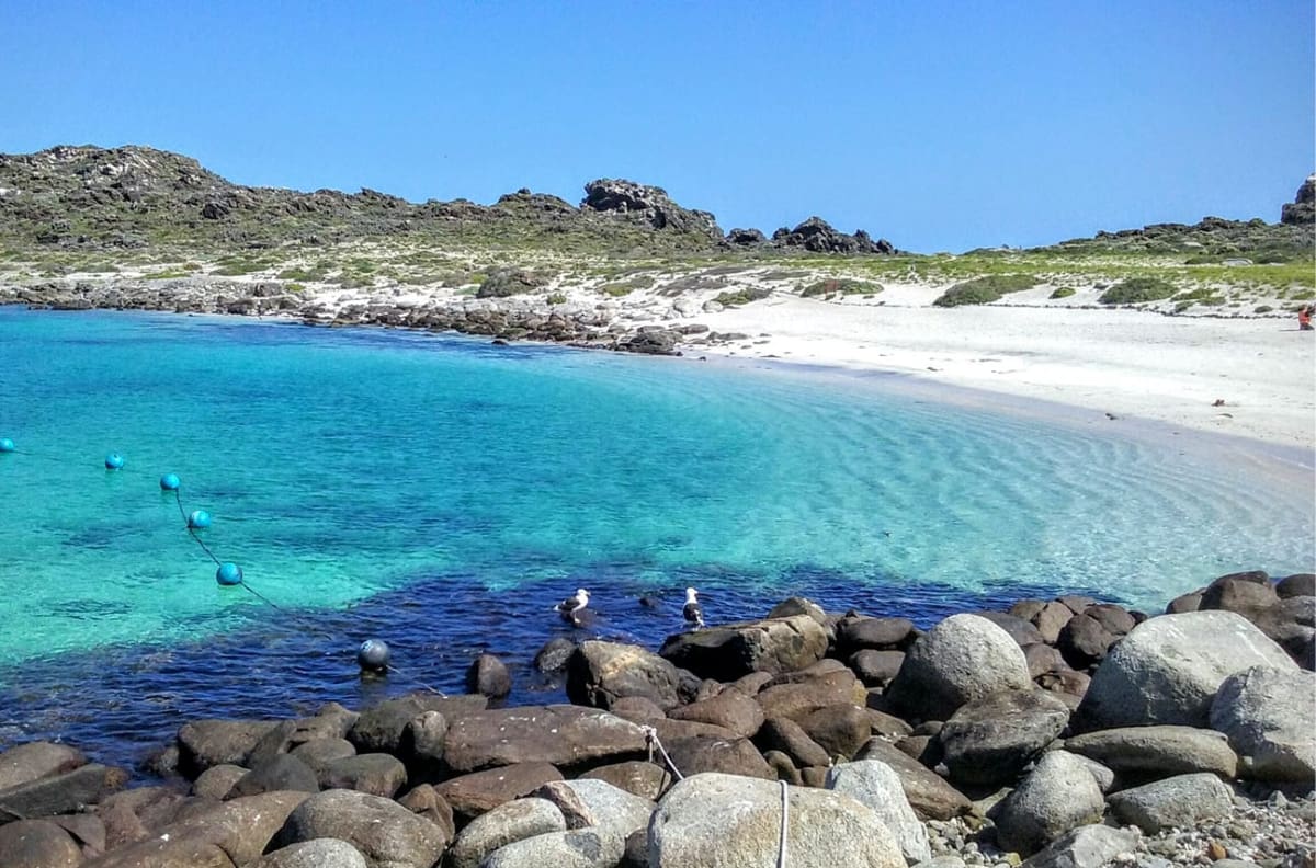 Playa Las Tijeras: Un paraíso tropical con arena blanca y aguas cristalinas en el norte de Chile
