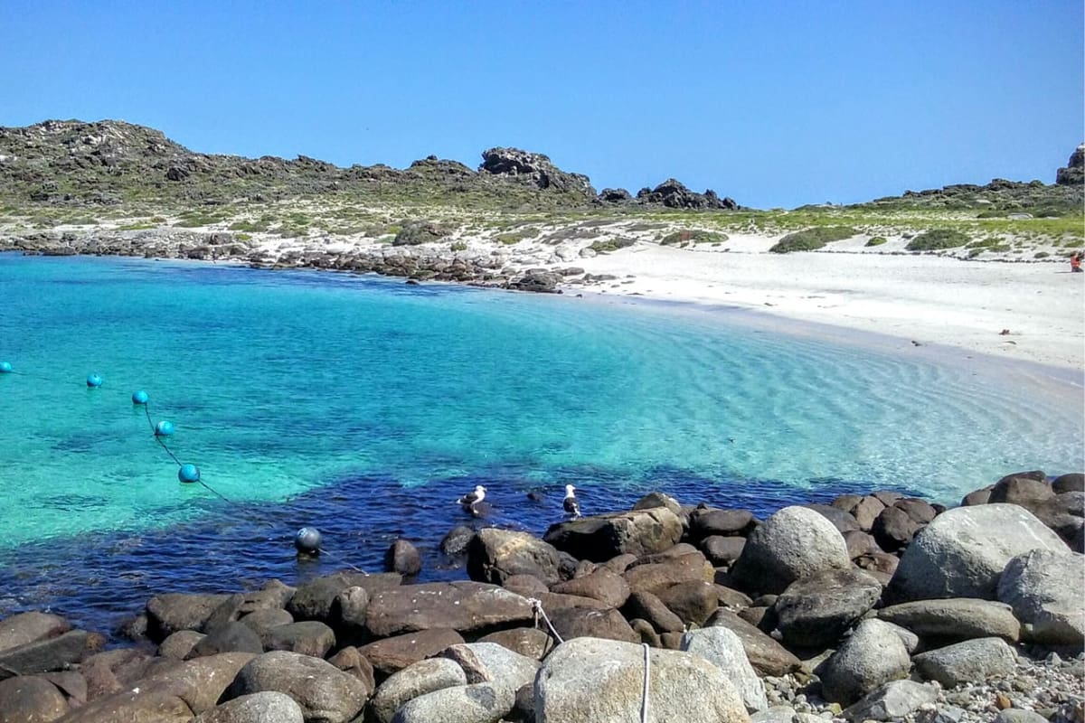 El lugar deslumbra con sus bellos paisajes de agua cristalina y arena blanca. Créditos: lugaresdechile.com