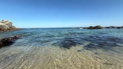 Esta playa a casi dos horas de Santiago es ideal para viajar con niños este verano