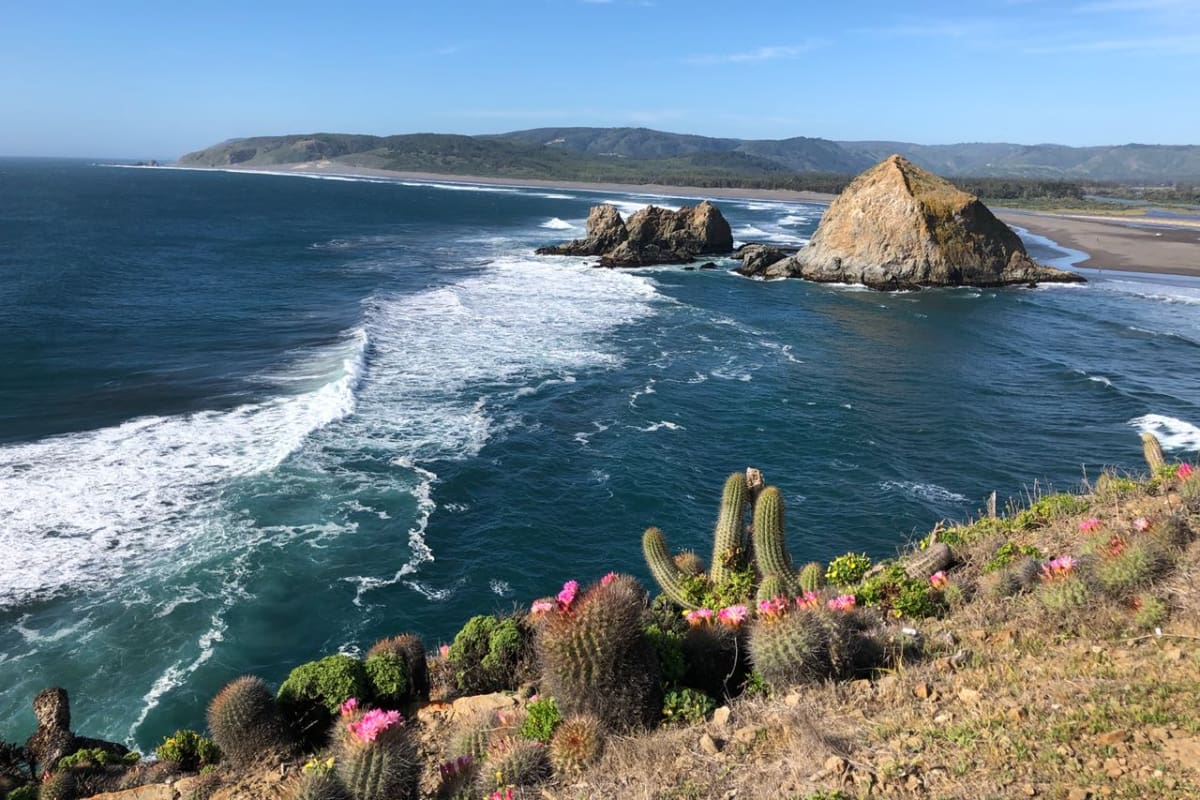Esta escapada secreta deslumbra con sus hermosos paisajes de aguas azules en medio de la naturaleza. Créditos: Surfbeats Radio.