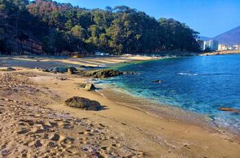 A dos horas de Santiago: la encantadora playa de aguas cristalinas perfecta para los últimos días de vacaciones