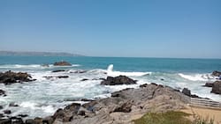Son ideales para ir en verano: 24 playas aptas para el baño en la Región de Valparaíso