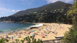 Perfectas para el verano 2026: Cinco lugares con las playas más templadas de Chile