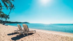 ¿Buscas planes para este fin de semana? Conoce las playas que están habilitadas para el baño