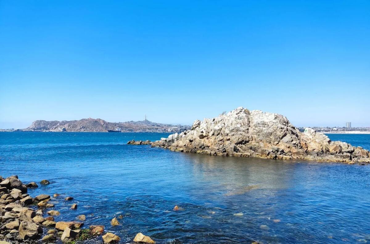 Con aguas cálidas y arena blanca: Playas aptas para el baño en la Región de Coquimbo