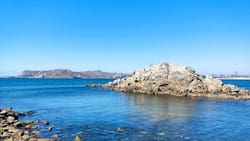 Con aguas cálidas y arena blanca: Playas aptas para el baño en la Región de Coquimbo