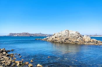 Con aguas cálidas y arena blanca: Playas aptas para el baño en la Región de Coquimbo